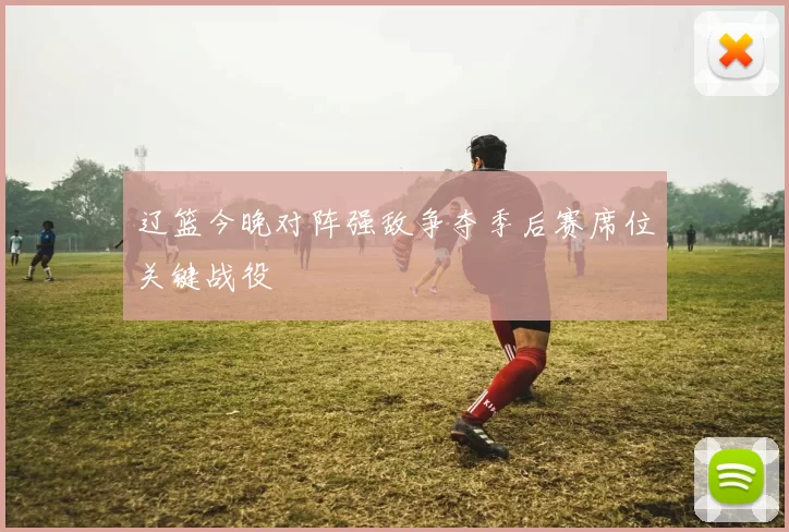 辽篮今晚对阵强敌争夺季后赛席位关键战役