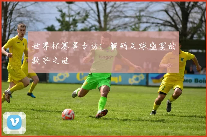 世界杯赛事专访：解码足球盛宴的数字之谜