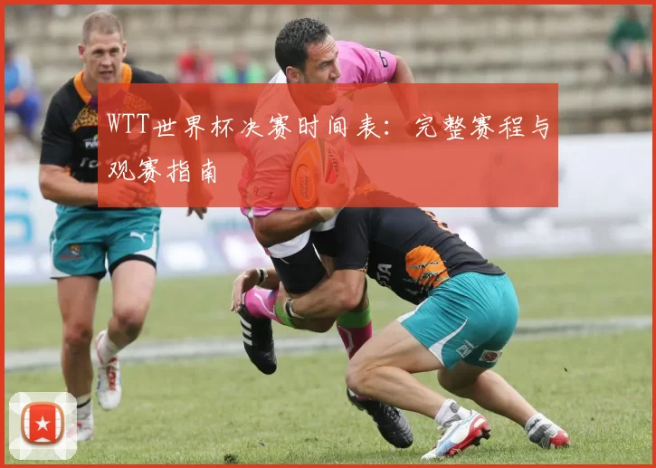 WTT世界杯决赛时间表:完整赛程与观赛指南