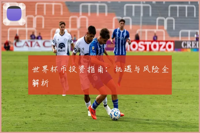 世界杯币投资指南：机遇与风险全解析