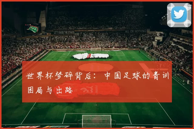 世界杯梦碎背后:中国足球的青训困局与出路