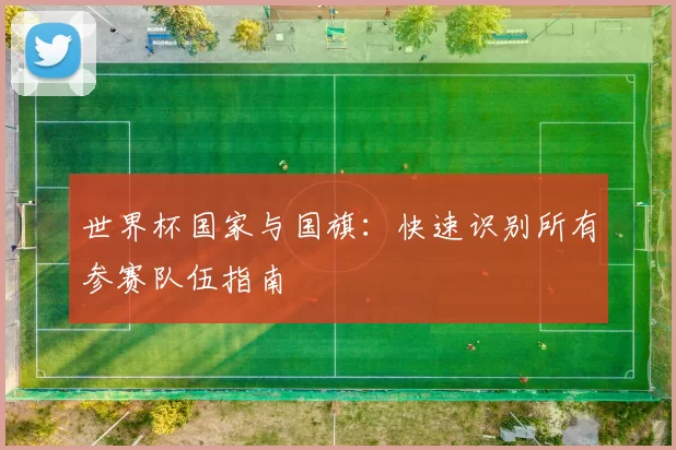 世界杯国家与国旗：快速识别所有参赛队伍指南