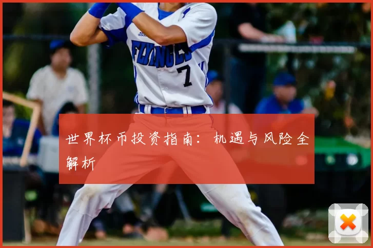世界杯币投资指南：机遇与风险全解析