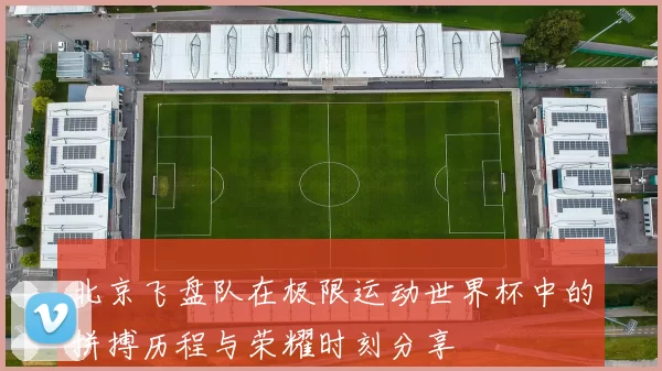 北京飞盘队在极限运动世界杯中的拼搏历程与荣耀时刻分享