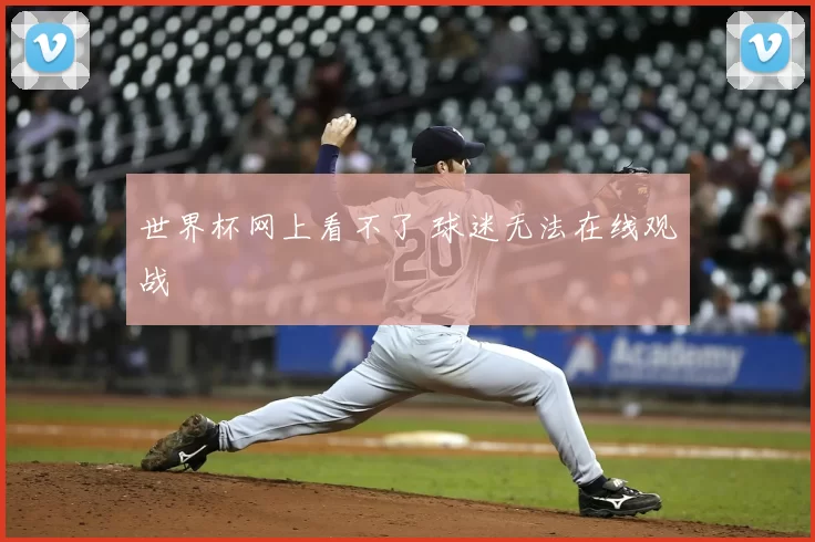 世界杯网上看不了 球迷无法在线观战