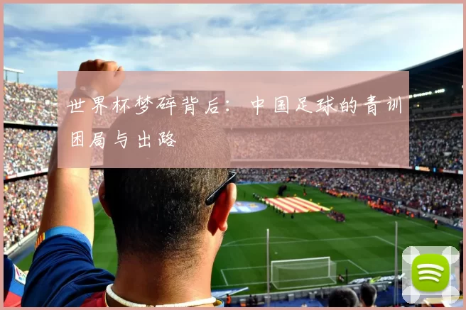 世界杯梦碎背后:中国足球的青训困局与出路